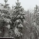 2 Detelina Bansko
