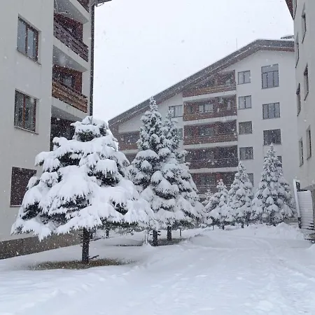 2 Detelina * 班斯科