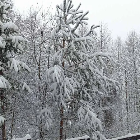 2 Detelina 公寓 班斯科