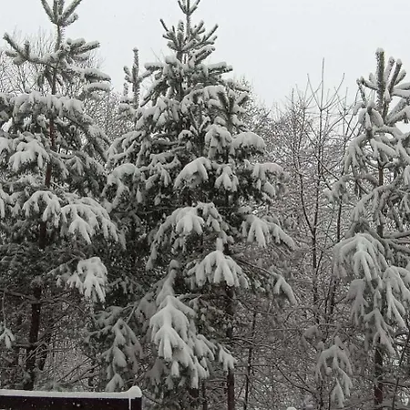 2 Detelina Bansko