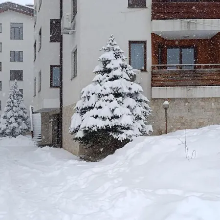2 Detelina