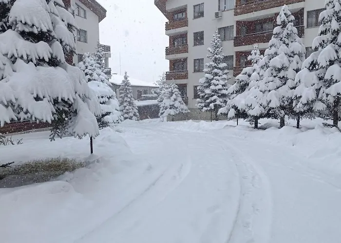 아파트 2 Detelina 반스코