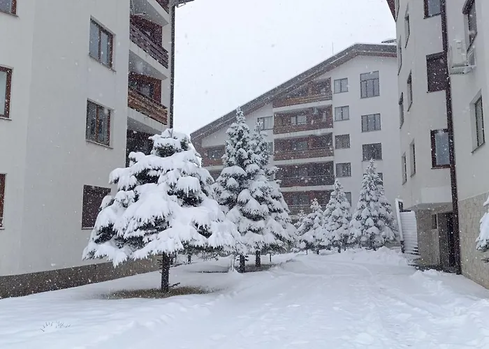 2 Detelina * 반스코