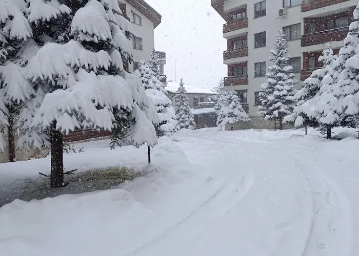 2 Detelina 아파트