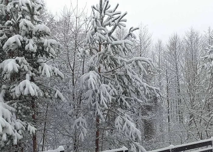 2 Detelina 아파트 반스코